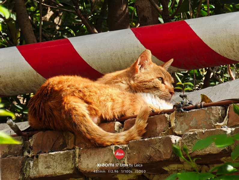 Долгожданная битва: камеры Xiaomi 17 Ultra, Oppo Find X9 Ultra и Vivo X300 Ultra сравнили между собой - 1