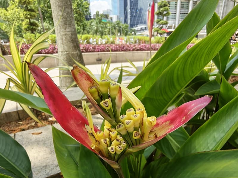 Так снимает Honor 600 Pro: опубликованы живые фото, сделанные основной камерой смартфона - 10