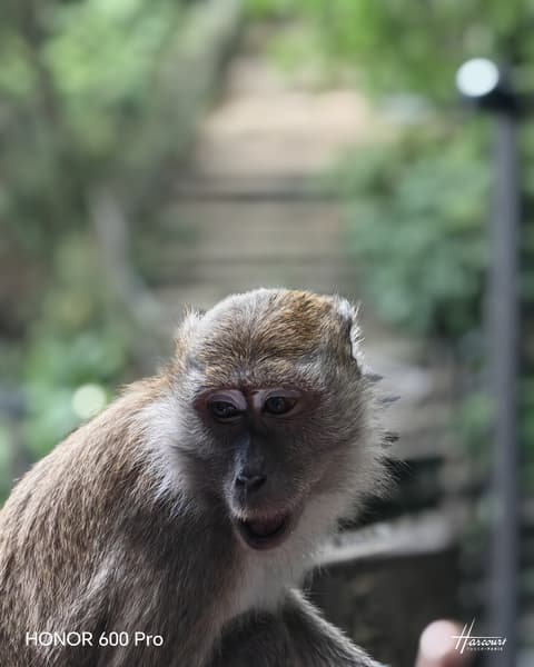 Так снимает Honor 600 Pro: опубликованы живые фото, сделанные основной камерой смартфона - 9