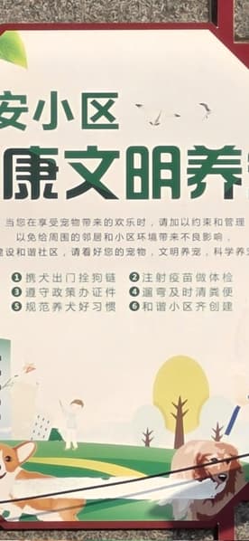 Битва перископов: новейший Oppo Find X9 Ultra сравнили с Samsung Galaxy S23 Ultra, Galaxy S26 Ultra и iPhone 17 Pro Max при съёмке текста - 3