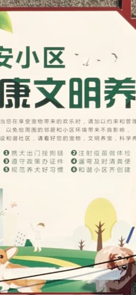 Битва перископов: новейший Oppo Find X9 Ultra сравнили с Samsung Galaxy S23 Ultra, Galaxy S26 Ultra и iPhone 17 Pro Max при съёмке текста - 4