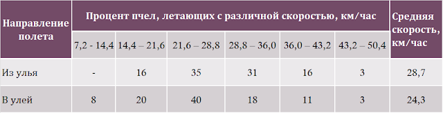 Модель транспортного полета пчелы - 17 Модель транспортного полета пчелы - 17