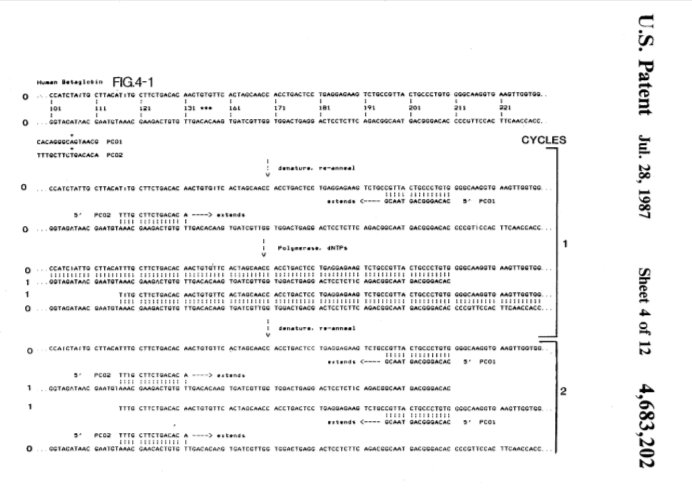 Схема из патента US4683202A