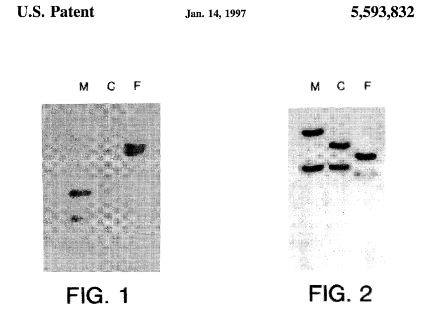 Схема из патента US5593832