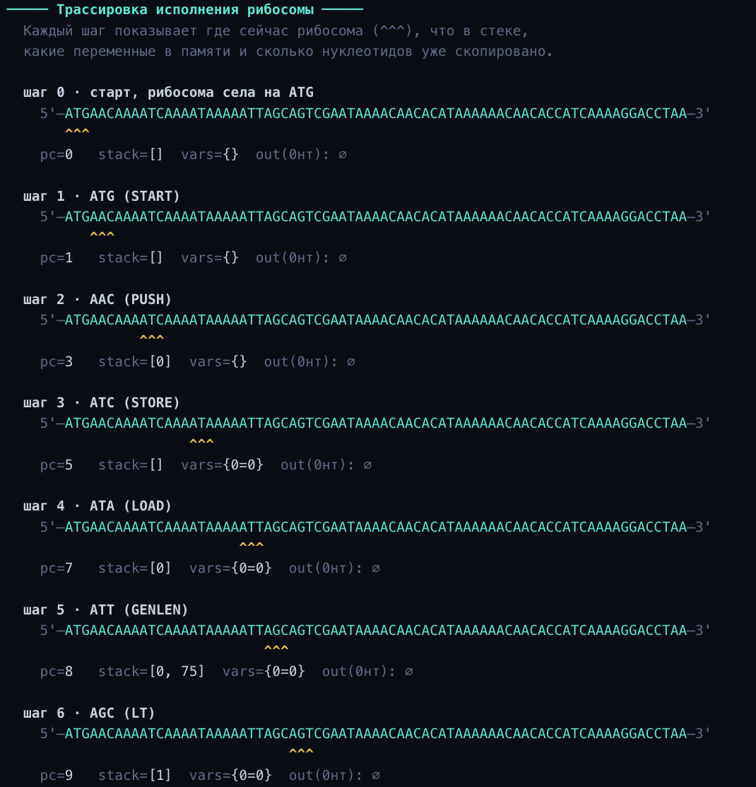 Биологический квайн: программа из 75 букв ДНК, которая копирует сама себя - 2