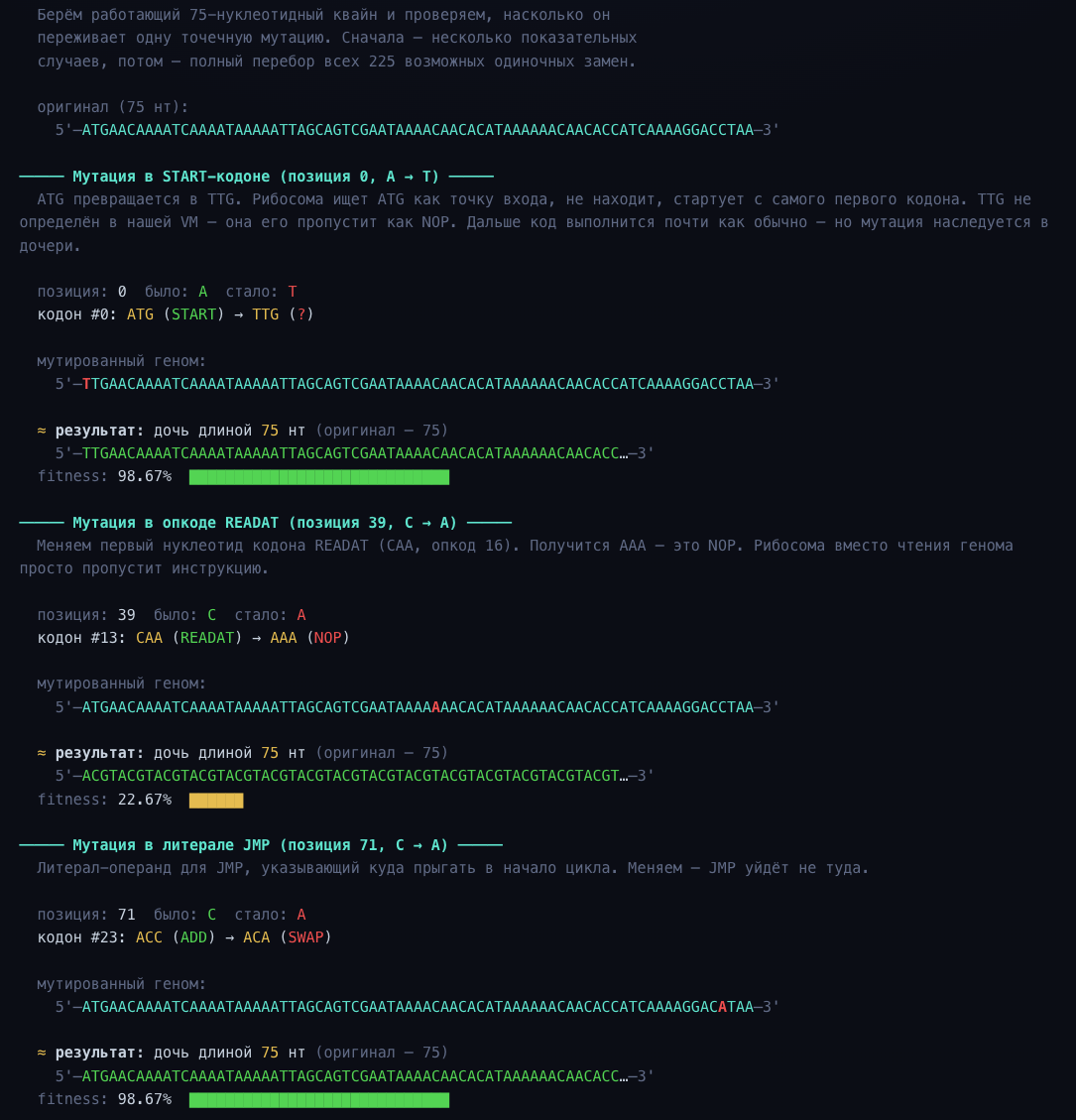 Биологический квайн: программа из 75 букв ДНК, которая копирует сама себя - 5