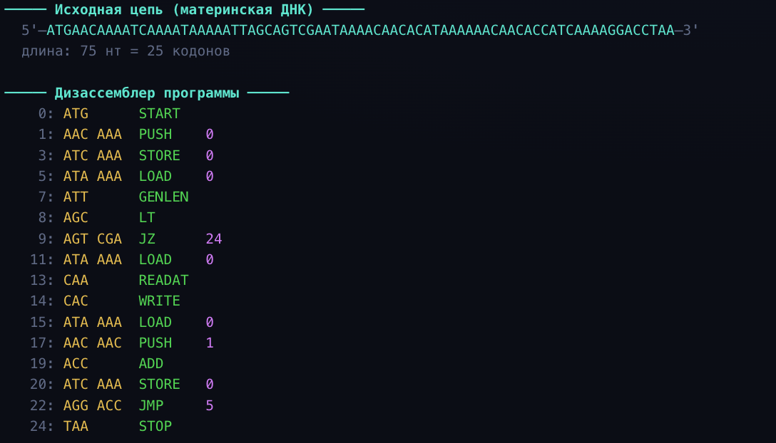 Биологический квайн: программа из 75 букв ДНК, которая копирует сама себя - 1