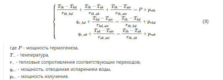 Модель термогенеза пчелы - 12