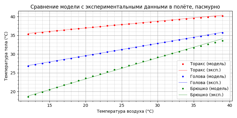 Модель термогенеза пчелы - 39