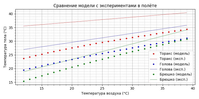 Модель термогенеза пчелы - 40