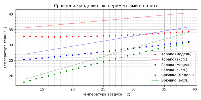 Модель термогенеза пчелы - 41