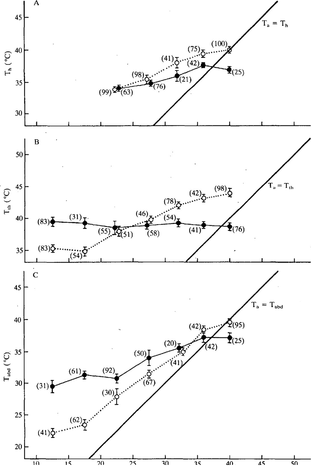 Модель термогенеза пчелы - 43