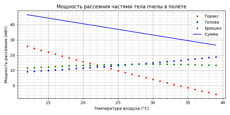 Модель термогенеза пчелы - 46