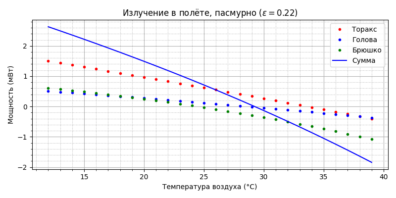 Модель термогенеза пчелы - 47