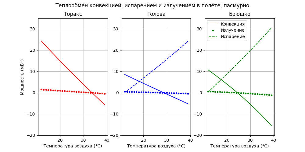 Модель термогенеза пчелы - 48