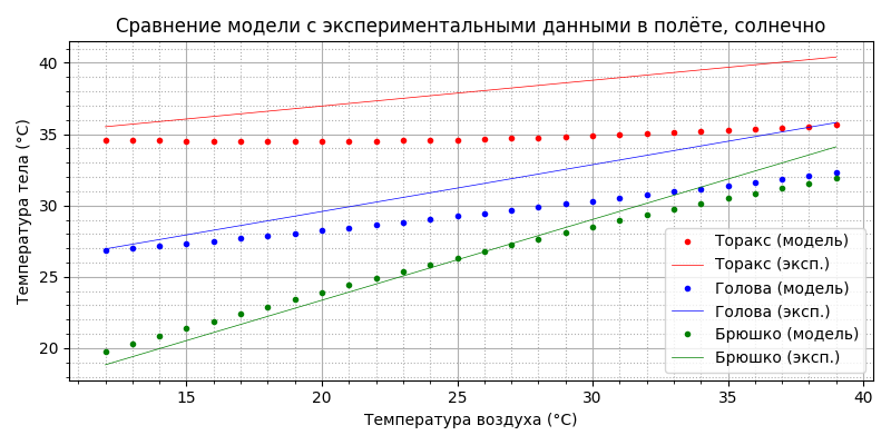 Модель термогенеза пчелы - 49