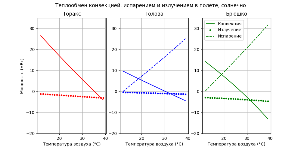 Модель термогенеза пчелы - 51