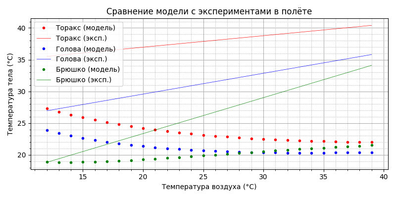 Модель термогенеза пчелы - 54