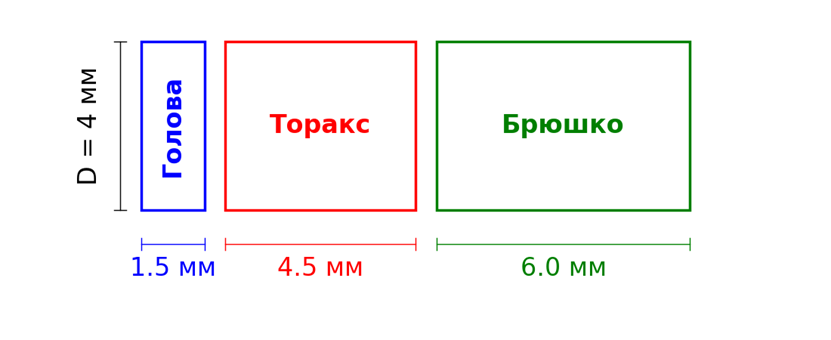 Модель термогенеза пчелы - 6