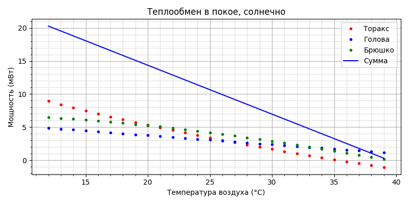 Модель термогенеза пчелы - 64