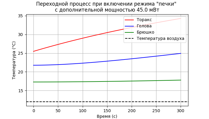 Модель термогенеза пчелы - 68