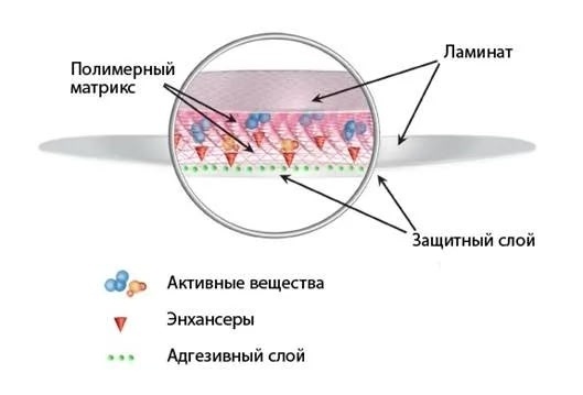 ТТС, или как доставить молекулу до мишени без потерь? - 1