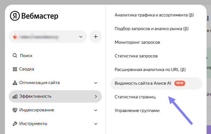 Где находится новый раздел