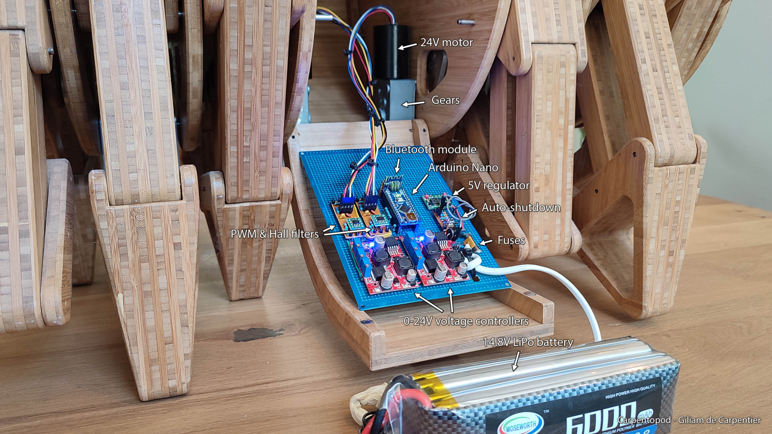                                                                                                                                                                          Giliam de Carpentier, www.decarpentier.nl/carpentopod