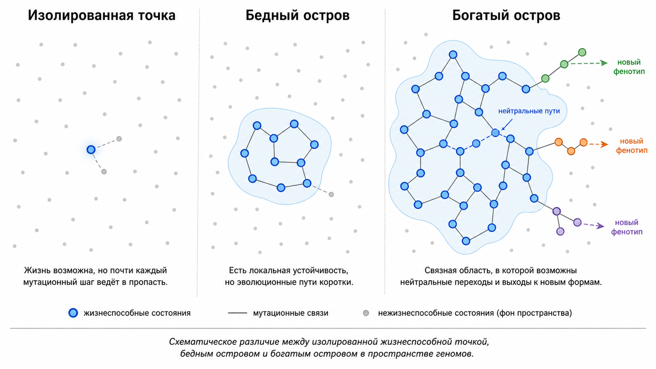 Oстров как граф