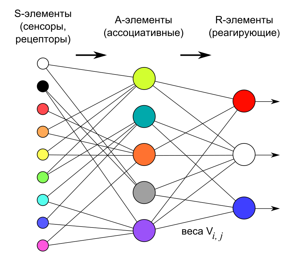 Нехитрая схема работы Перцептрона Розенблатта. Картинка из Вики.