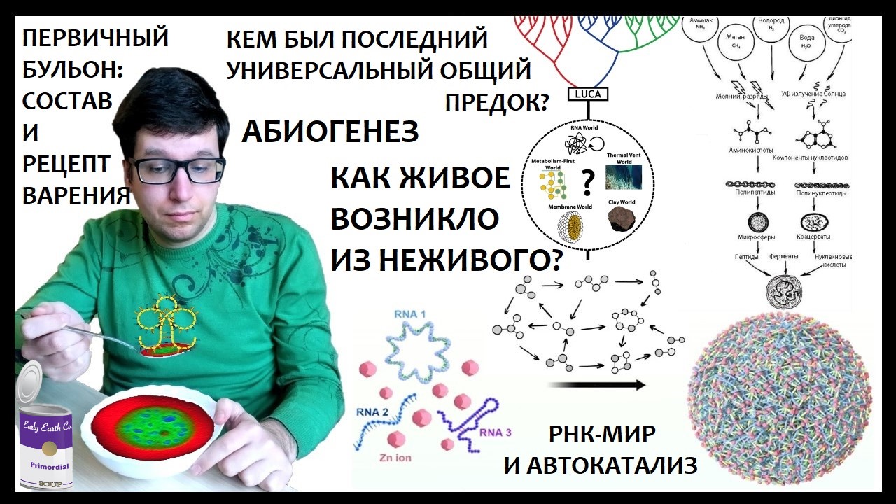 Происхождение, часть 2. Миры РНК и ДНК, автокаталитических сетей, вирусов и протоклеток - 1