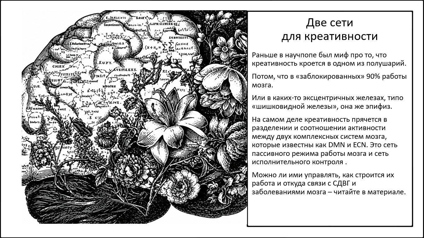 Почему мы способны к креативности и где её «центр»? - 1
