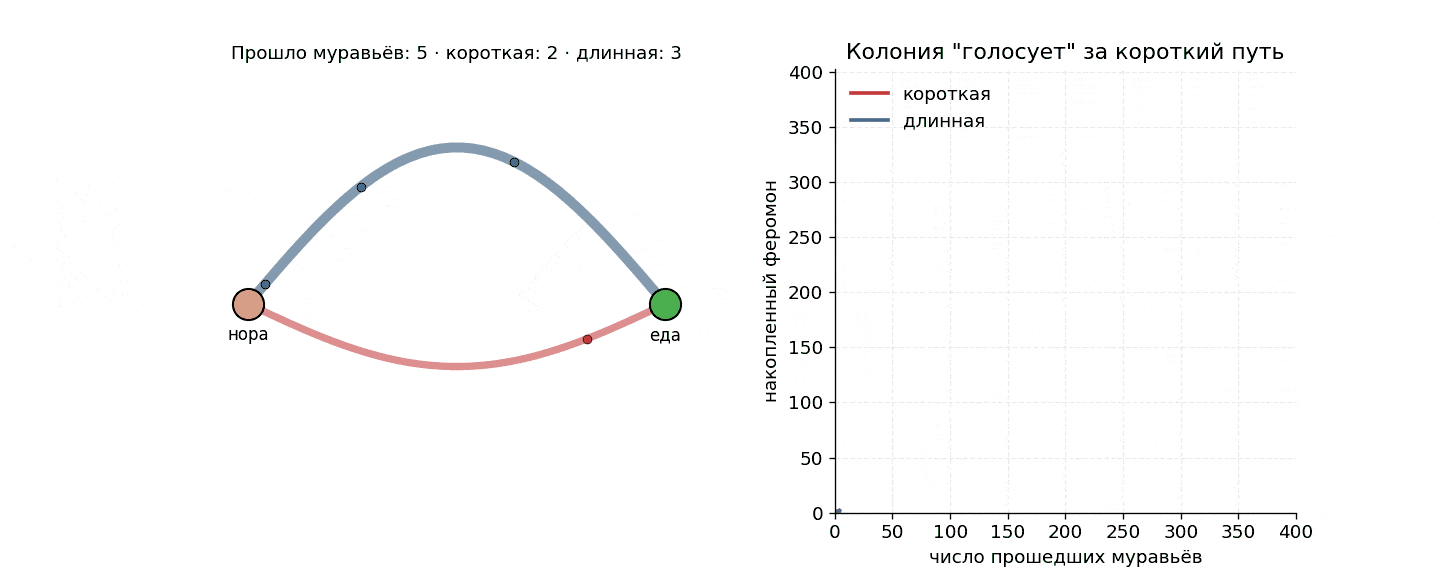 Муравьи против трансформеров: старый алгоритм 1992 года, который вернулся - 5