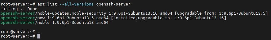 Проверяем максимальную версию доступную для обновления в Ubuntu 24,04