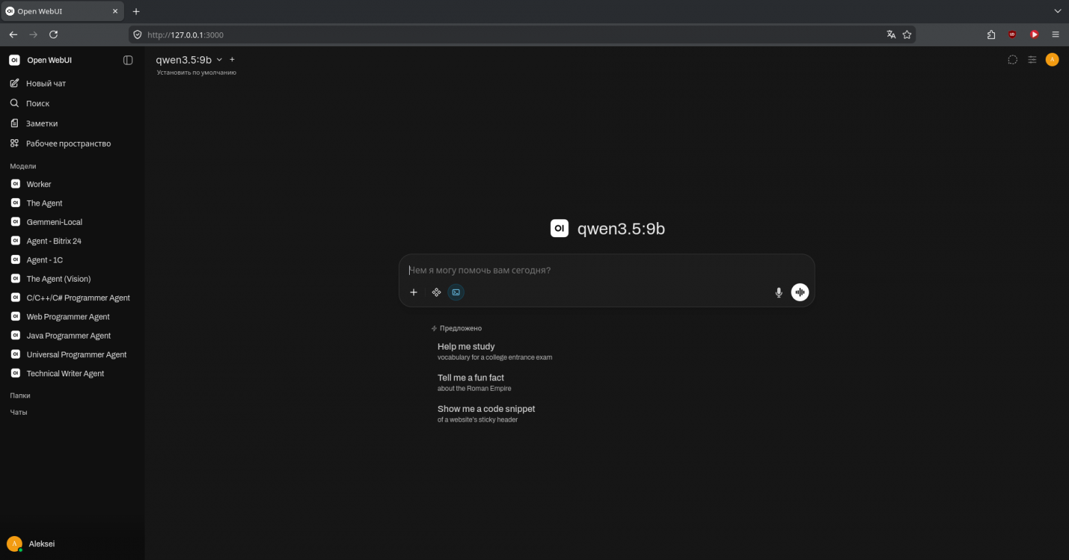 Настроенные агенты для работы с кодом и текстом в интерфейсе Open WebUI».