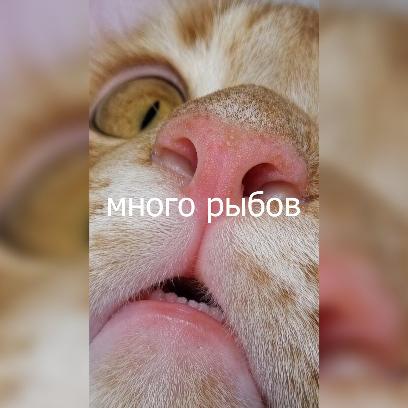 Желание пользователя не закон, ведь он сам не знает чего хочет