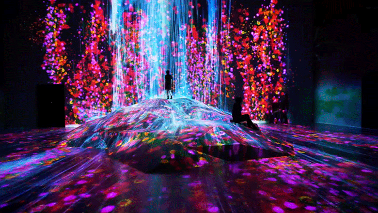 Музей как программная система: что скрывается за магией TeamLab Borderless - 1 Музей как программная система: что скрывается за магией TeamLab Borderless - 1