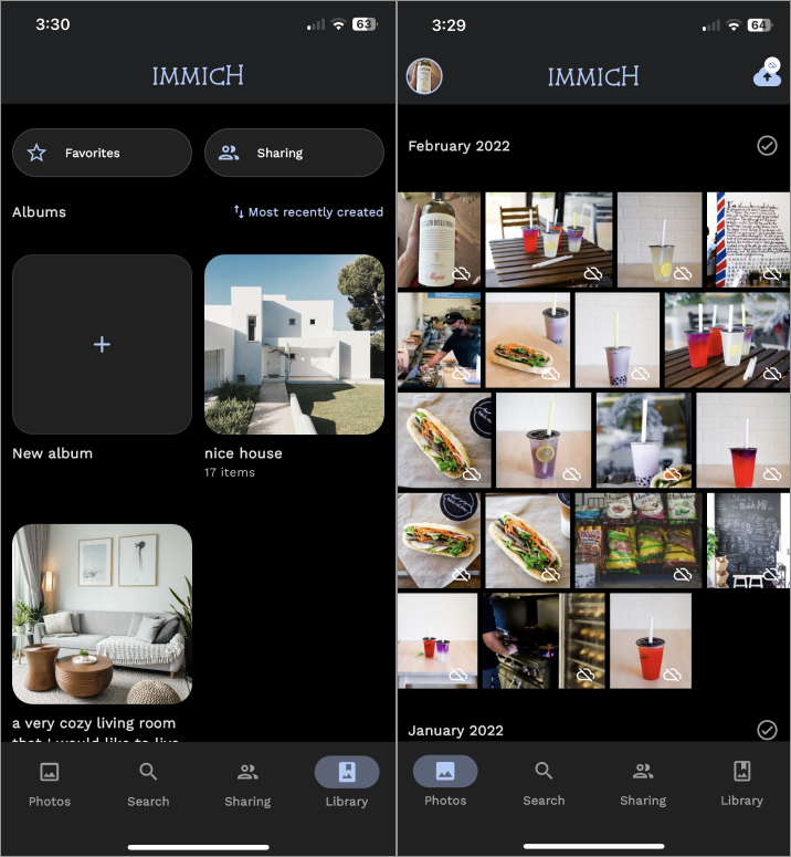 Immich UI