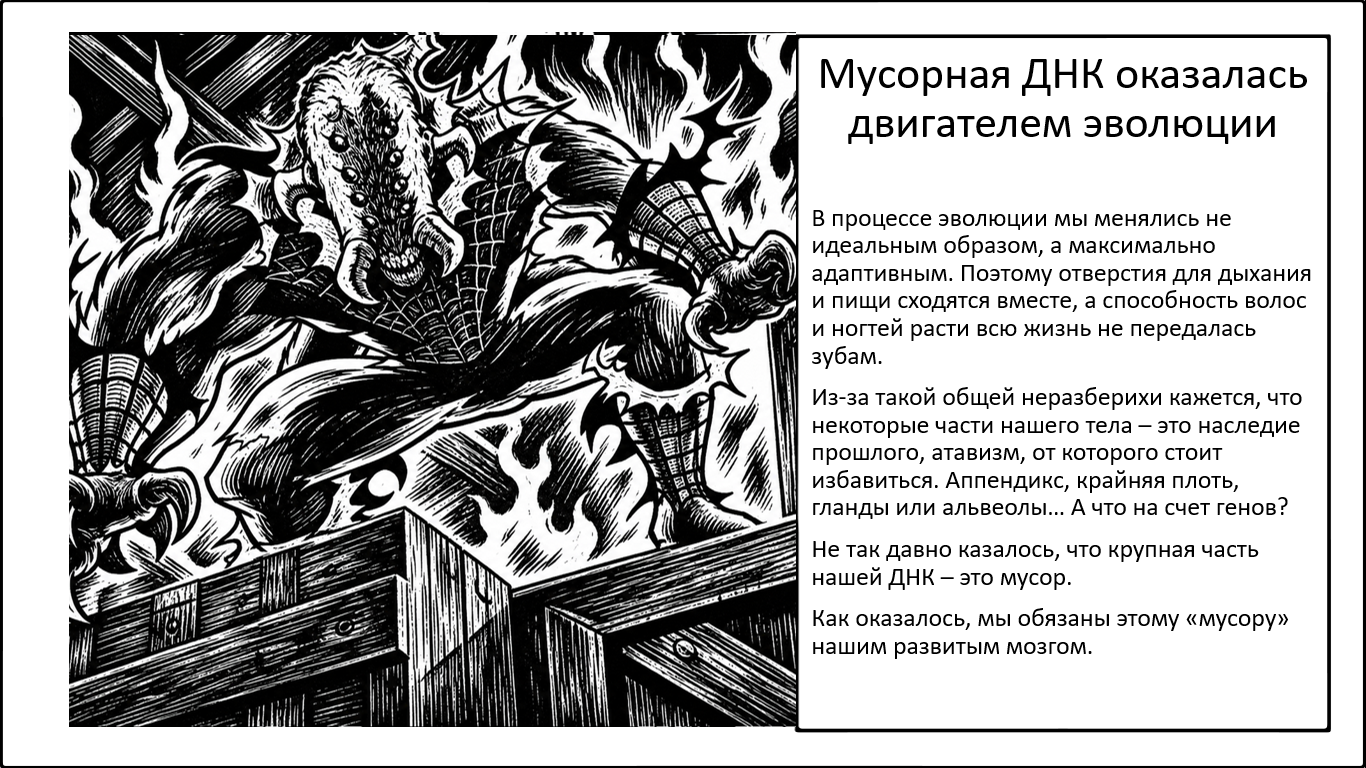 Как «мусорная ДНК» обеспечила эволюцию мозга - 1