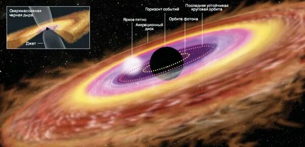 Detailed structure of a black hole