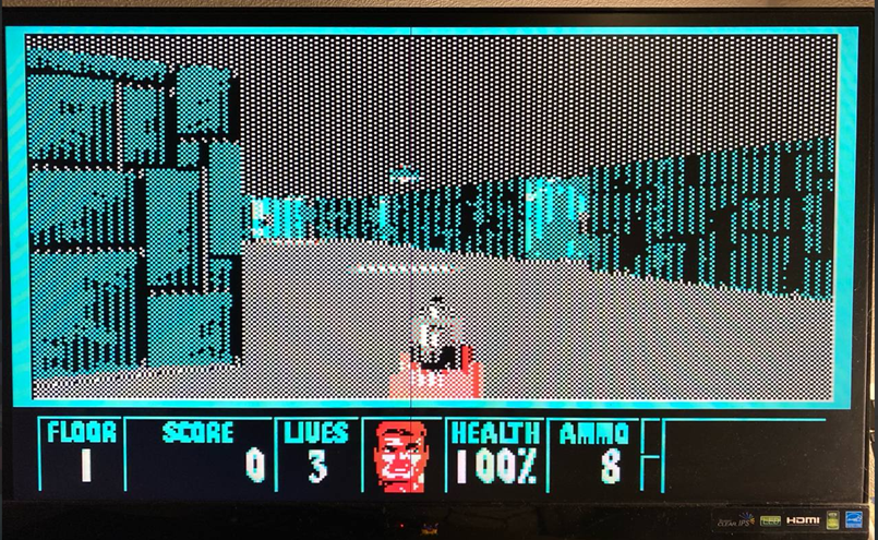 Wolfenstein CGA