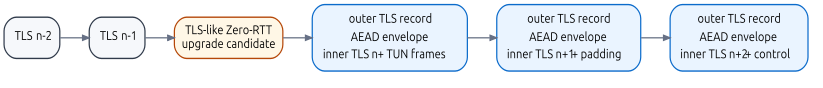 Поток TLS-записей после FPS-переключения
