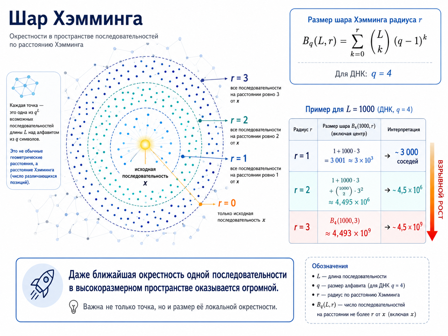Не пики, а бассейны: почему эволюция — это блуждание по графу жизни - 18