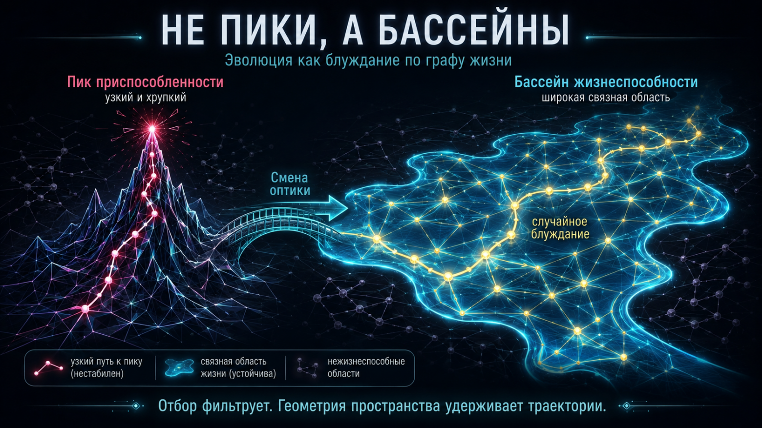 Не пики, а бассейны: почему эволюция — это блуждание по графу жизни - 1
