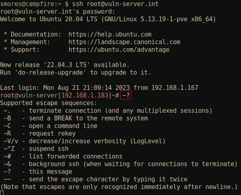 Изнурительно подробное руководство по SSH (лишь те аспекты, которые я нахожу полезными) - 11
