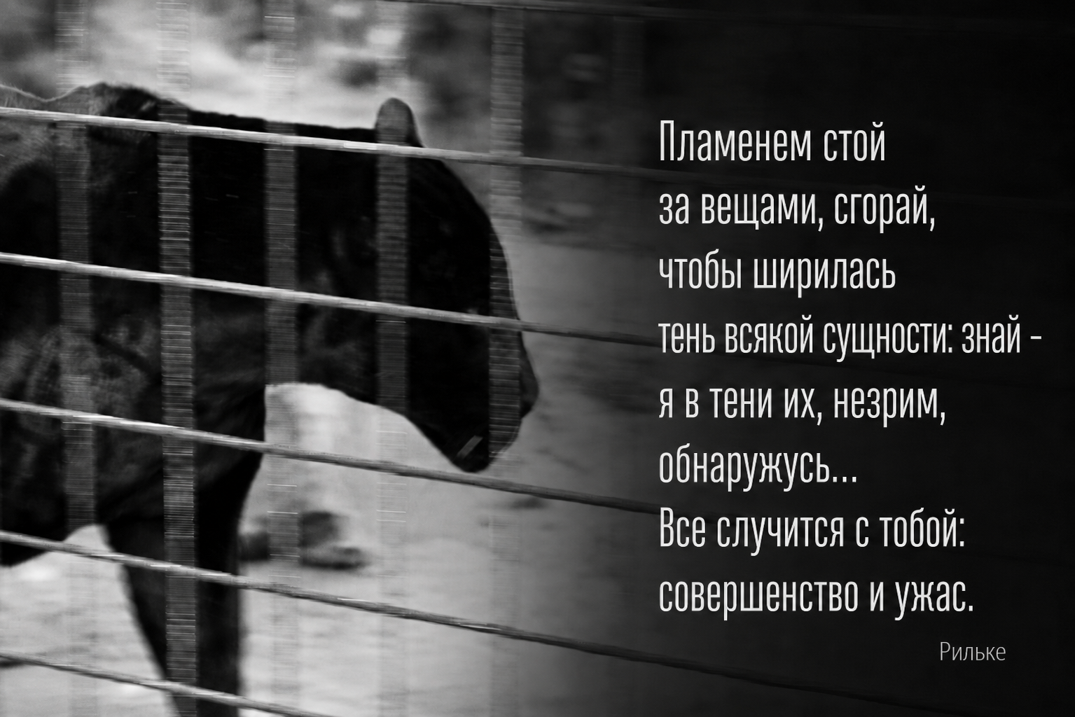 Почему избегать неприятностей — значит избегать жизнь - 3