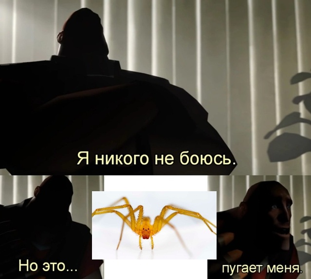 Несите огнемёт - 1