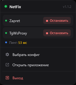 NetFix: как я сделал GUI-обёртку для Zapret и TgWsProxy, которой самому приятно пользоваться - 6 NetFix: как я сделал GUI-обёртку для Zapret и TgWsProxy, которой самому приятно пользоваться - 6