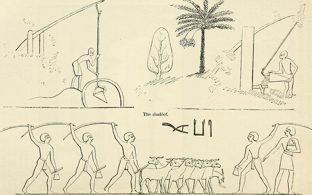                                                                                                                                                                                                                   Internet Archive Book Images