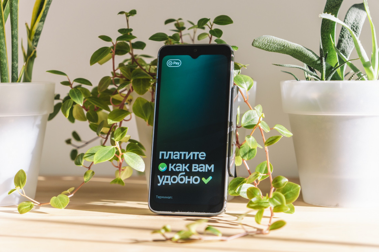 Ломаем ещё один терминал Сбербанка - 3 Ломаем ещё один терминал Сбербанка - 3